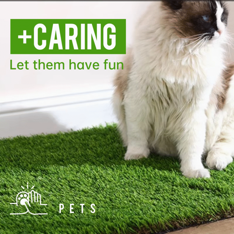 Professional Dog Mat Large Turf Outdoor - Image 3